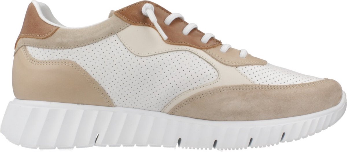 CETTI C1384 Bruin 43 EU
