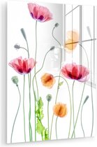 Glasschilderij bloemen - Schilderij op glas - Klaproos - Lente - Wit - Acrylglas - Wanddecoratie glas - 30x40 cm