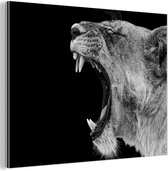Tableau aluminium 160x120 cm - Décoration murale métal - Animaux - Lion - Zwart - Wit - Portrait - Décoration murale métal salon - Décoration industrielle - Photo sur dibond - Accessoires industriels chambre