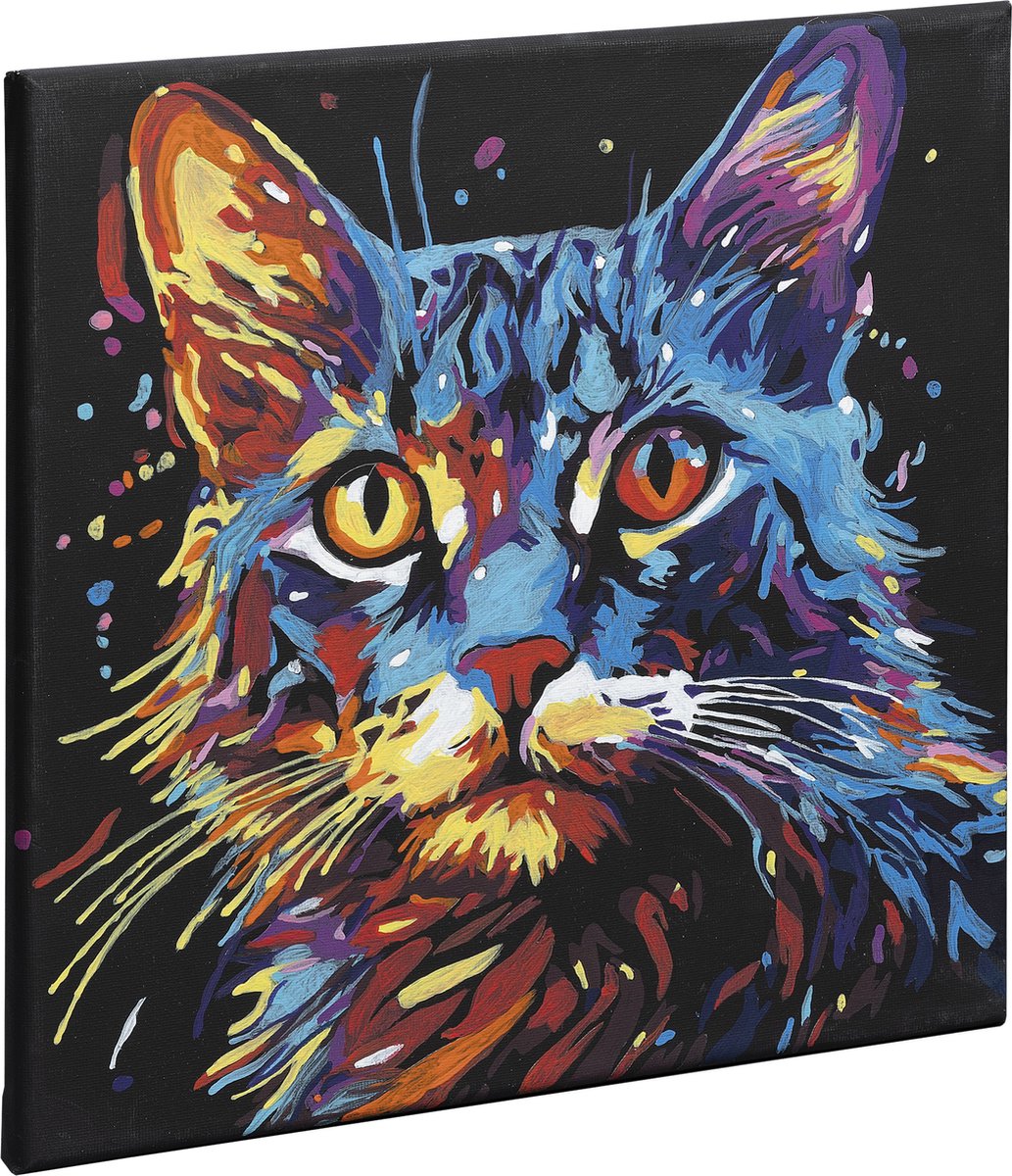 Schilderen op Nummer Volwassenen dieren poes - Kleurrijke Kat op Zwart Canvas - Formaat 30 x 30 CM — afbeelding 4