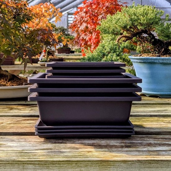 Roundsky 10 Packs Bonsai Training Pan Tray Plastic Bonsai Plant Pot for Garden, Courtyard, Living Room, Balcony, 16.5 x 12cm