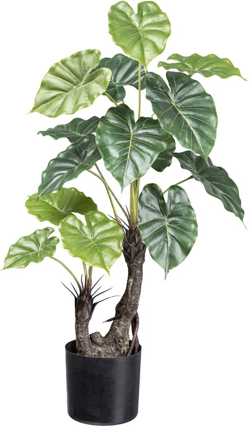 plant de Taro artificielle - 70cm - Plantes artificielles pour l'intérieur - Faux Taro - Taro Artificiel