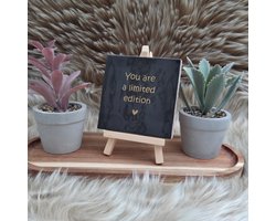 Robuust Wenstegeltje – You Are a Limited Edition – Hip trendy tegeltje – 10x10 cm – Uniek Cadeau voor Vriendin, Zus of Collega – Zomaar - Afscheid - Pensioen – Trendy nu – Decoratief Tegeltje met Standaard – Cadeau Idee