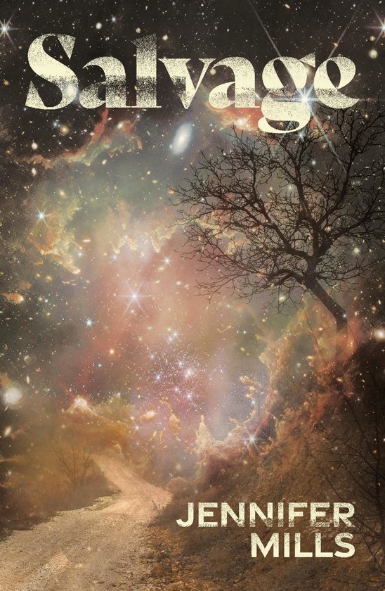 Salvage - cover