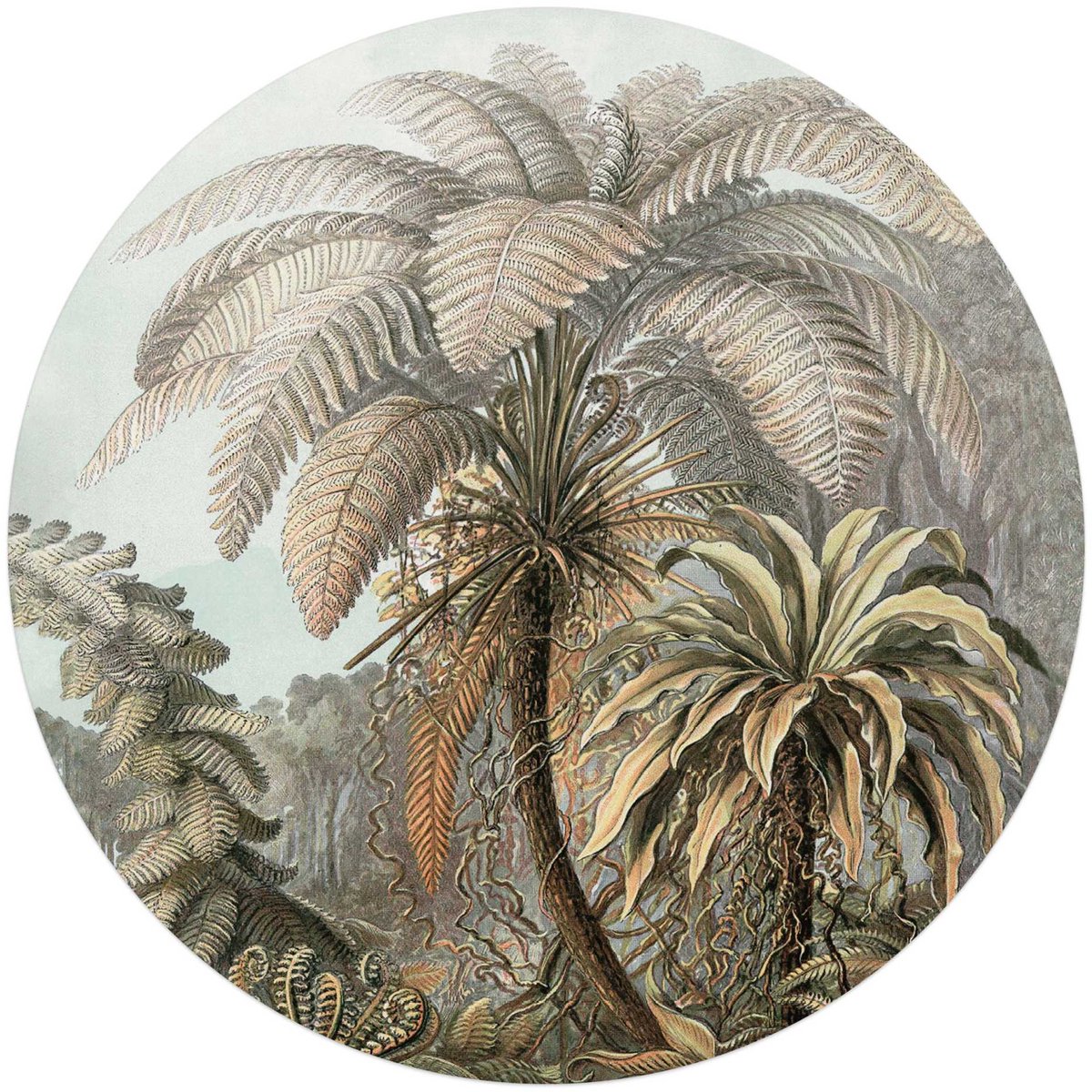 Plexiglasschilderij Palmboom - Ø 70 - Acrylglas - REINDERS