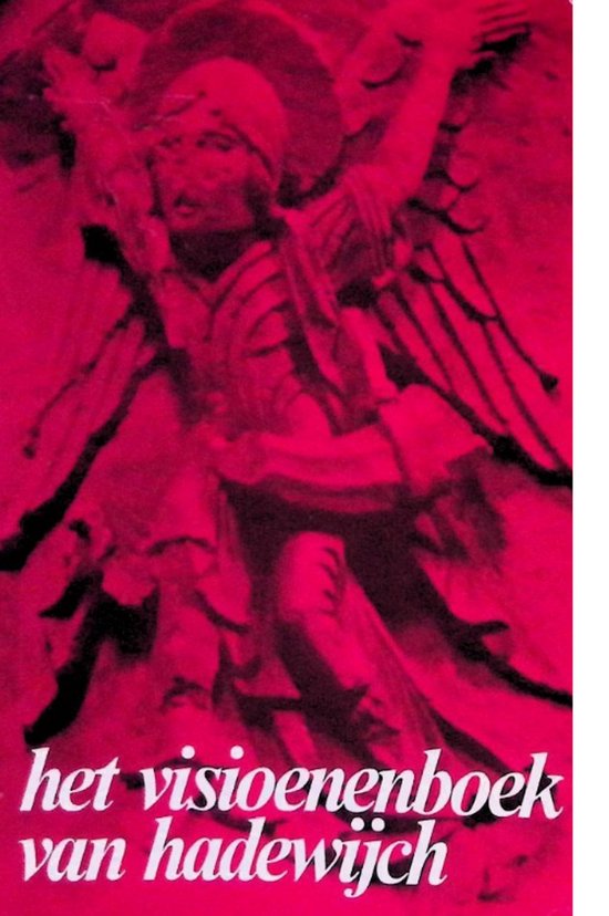 9789025599133 - Visioenenboek van hadewych