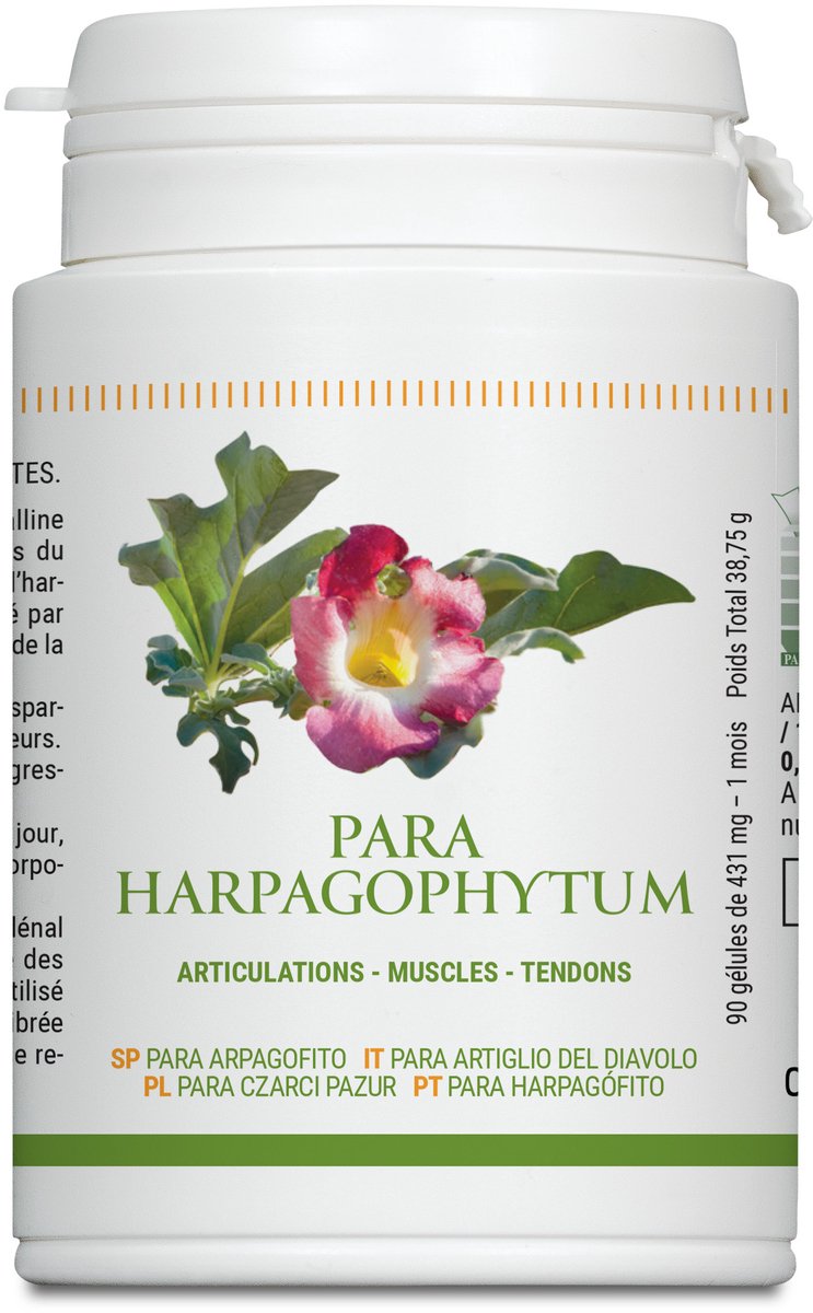 PARA HARPAGOPHYTUM