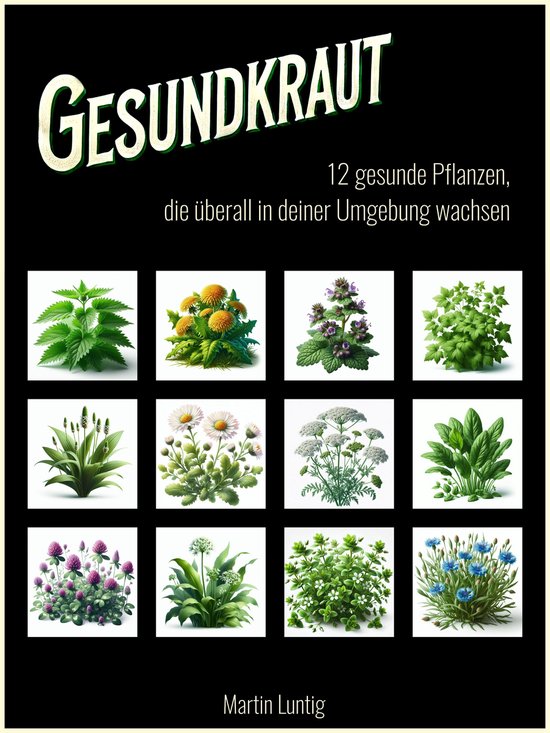 Gesundkraut - cover
