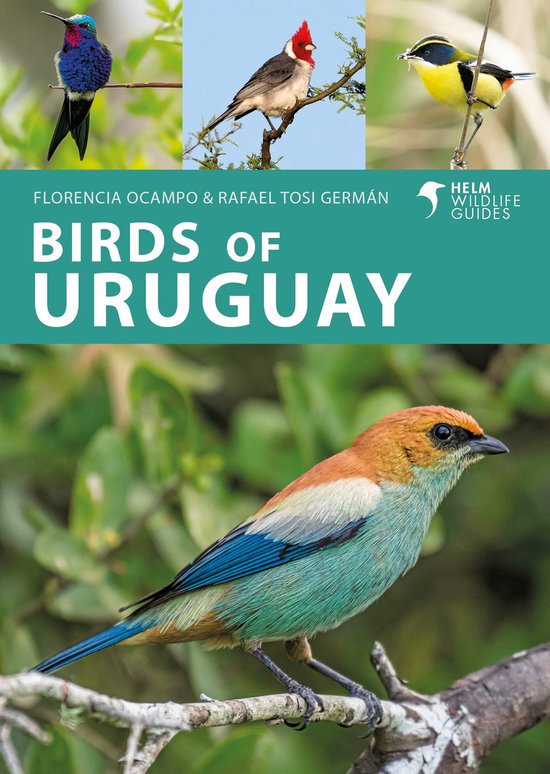 Boek 'Birds of Uruguay' met drie kleine vogels bovenaan en een grotere vogel vooraan.