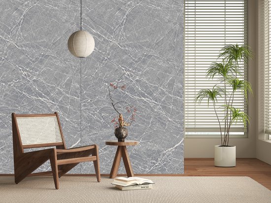LoXus Wandpanelen in marmerlook, gouden draak, 1 stuk, 120 x 60 cm, pvc