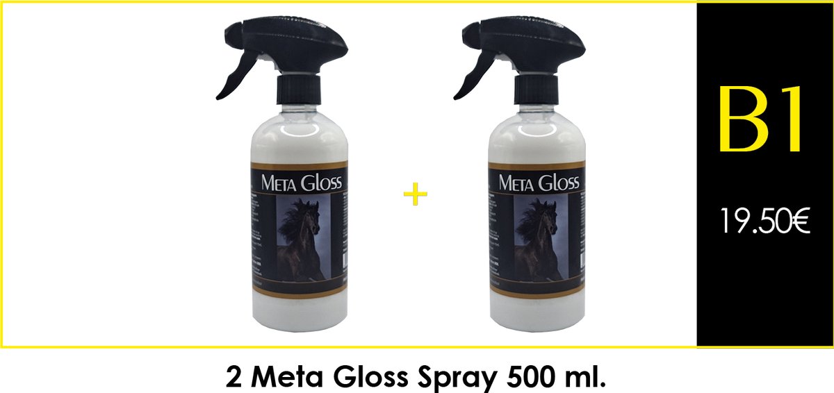 Meta Gloss Package Deal - B1