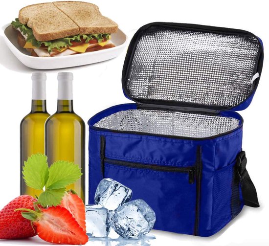 Koelbox 10l blauw Friss | van 't Ende