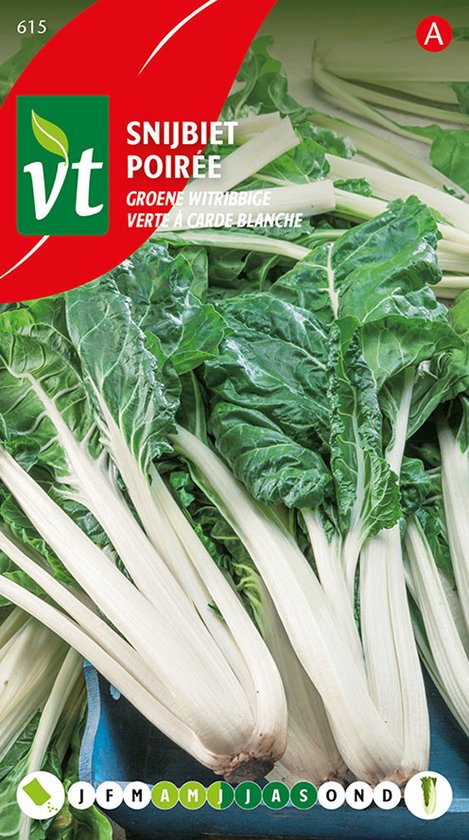 Snijbiet ‘Groene Witribbige’