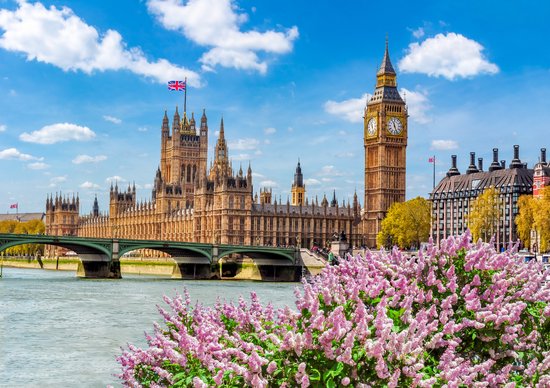 M. Puzzle Brocoli 5 x 1000 pièces Collection Ville - Puzzle Villes 5 en 1 - Poster inclus - FSC® - 68 x 48 cm