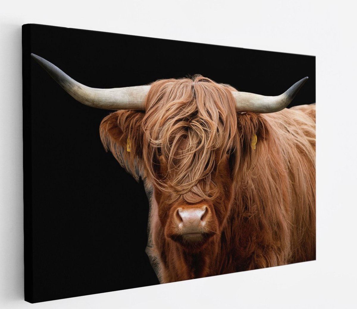 Saammp Canvas Schilderij - Schotse Hooglander Koe - Natuur - Dieren - Portret - 100x75 - Foto op canvas - Wanddecoratie - muurdecoratie Woonkamer - Slaapkamer decoratie - Canvas Print Multicolor