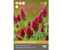 Tuin de Bruijn® Groenbemester Rode Klaver