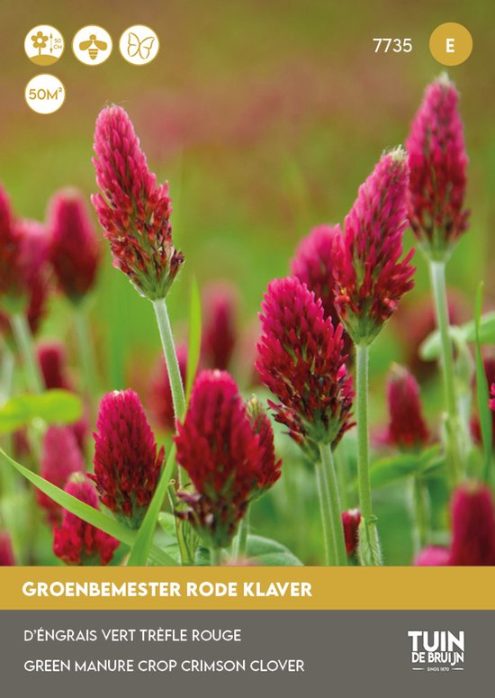 Tuin de Bruijn Rode Klaver – Groenbemester – 70 g – Stikstofbinder