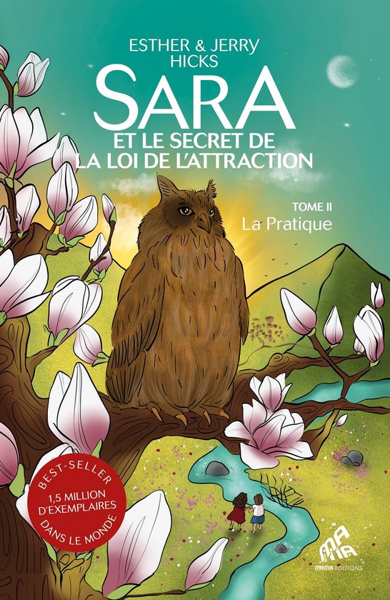 Sara et le secret de la loi de l'attraction 2 - Sara et le secret de la loi de l'attraction : Tome 2, La Pratique