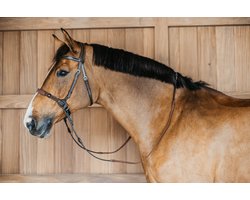 Bitloos Hoofdstel PONY - Buffelleer - Bruin