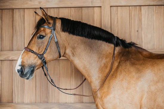 Bruin paard met zwart manen, met een bruin lederen hoofdstel met witte stiksels.