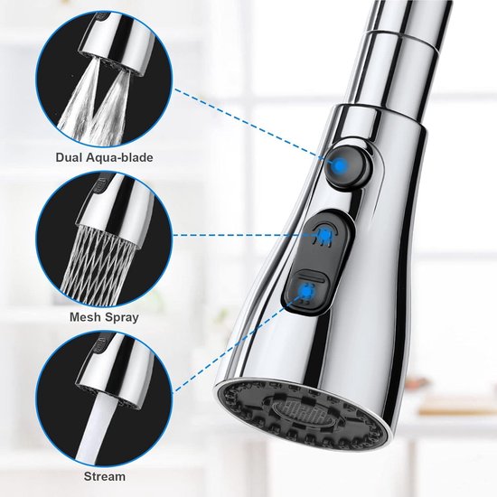 Saniselect Keukenkraan met handdouche RVS