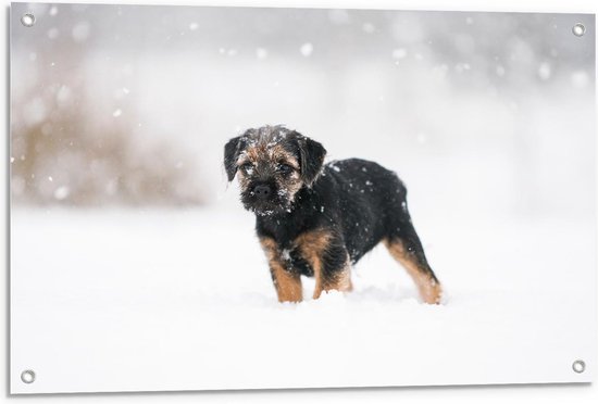 Tuinposter – Besneeuwde Pup - 90x60cm Foto op Tuinposter  (wanddecoratie voor buiten en binnen)