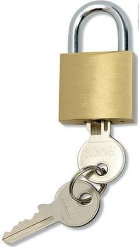 2 2X sleutels 30mm / - hangslotjes vor kluis locker -... | bol.com