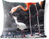 Buitenkussens - Tuin - Moeder flamingo voedt haar baby - 60x60 cm