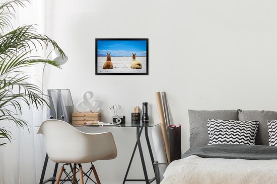 Photo en cadre - Lamas au repos sur un cadre photo uni sable noir sans passe-partout 30x20 cm - Affiche sous cadre (Décoration murale salon / chambre)