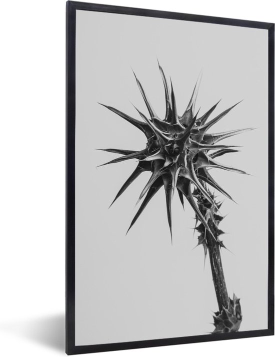 Fotolijst incl. Poster - Plant met doornen in zwart-wit - 80x120 cm - Posterlijst