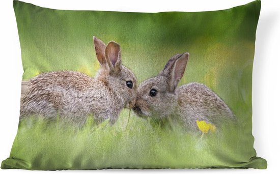 Sierkussens - Kussen verliefde baby konijnen - 50x30 cm - van | bol.com