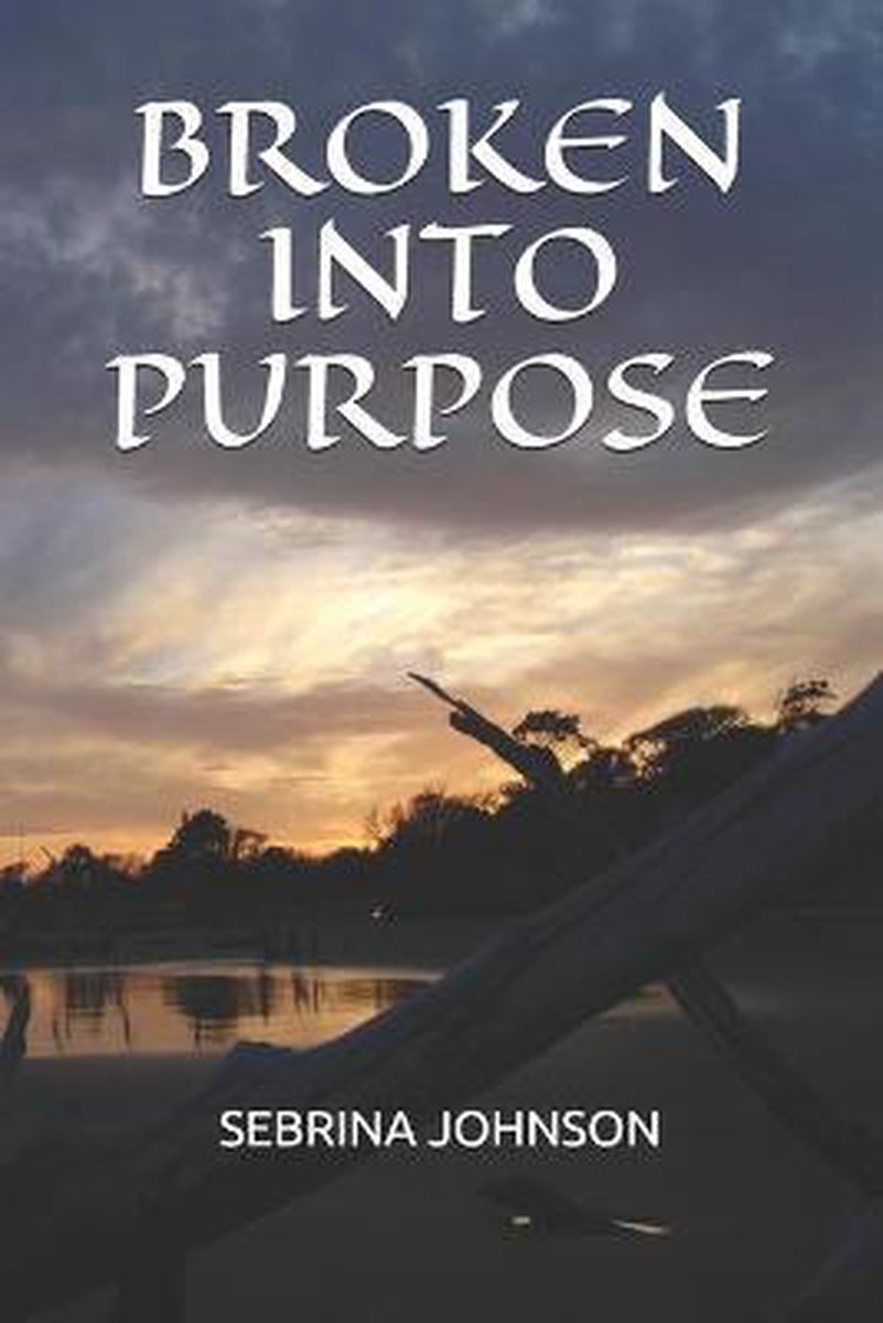 Broken Into Purpose van Sebrina Johnson