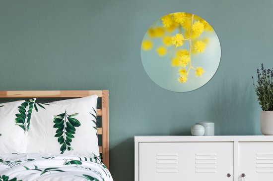 Une plant de mimosa jaune sur fond bleu clair Assiette en plastique cercle mural ⌀ 60 cm - impression photo sur cercle mural / cercle vivant (décoration murale)