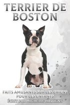 Terrier de Boston