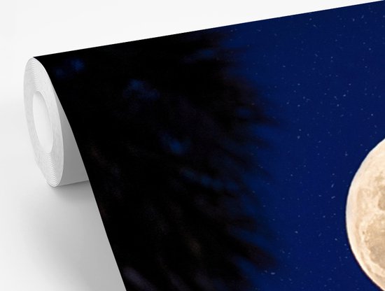 Papier peint photo vinyle - Une pleine lune dans un ciel nocturne bleu avec des étoiles largeur 465 cm x hauteur 260 cm - Tirage photo sur papier peint (disponible en 7 tailles)