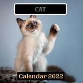 cat calendar 2022