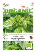 Buzzy® Organic Basilicum - Italiano Classico (BIO)