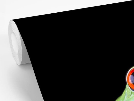 Papier peint photo vinyle - Portrait d'une grenouille sur fond noir largeur 240 cm x hauteur 240 cm - Tirage photo sur papier peint (disponible en 7 tailles)