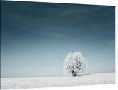 Boom in het sneeuwlandschap - Foto op Canvas - 45 x 30 cm