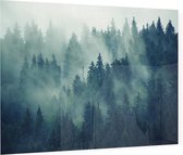 Bomen met mist - Foto op Plexiglas - 90 x 60 cm