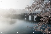 Mistige brug met kersenbloesem - Foto op Tuinposter - 90 x 60 cm