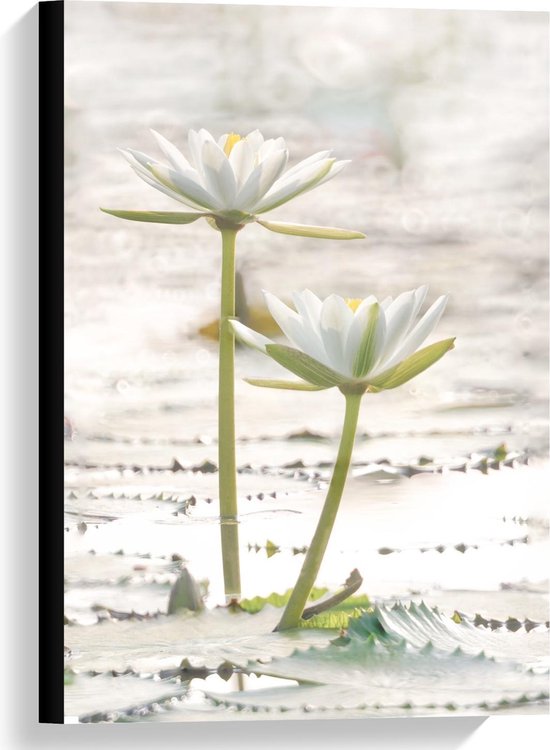 Canvas - Twee Witte Bloemetjes - Foto op Canvas Schilderij (Wanddecoratie op Canvas)