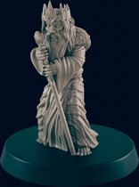 3D Printed Miniature - Mad King  - Dungeons & Dragons - Beasts and Baddies