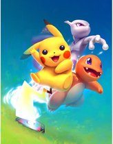 EverToys Diamond Painting  - 30 x 40 cm | Pikachu - Charmander - Mewtwo - Pokemon - Charizard - Kleurboek - Box - Kaarten - Poster - Stickers| Trio