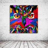 Wall Art Colorful Owl Acrylglas - 100 x 100 cm op Acrylaat glas + Inox Spacers / RVS afstandhouders - Popart Wanddecoratie