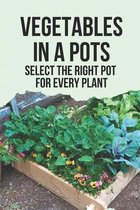 Vegetables In A Pots: Select The Right Pot For Every Plant