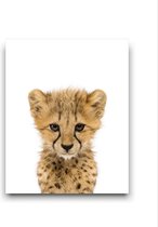 Schilderij  Safari Baby Cheeta - Kinderkamer - Dieren Schilderij - Babykamer / Kinder Schilderij - Babyshower Cadeau - Muurdecoratie - 50x40cm - FramedCity