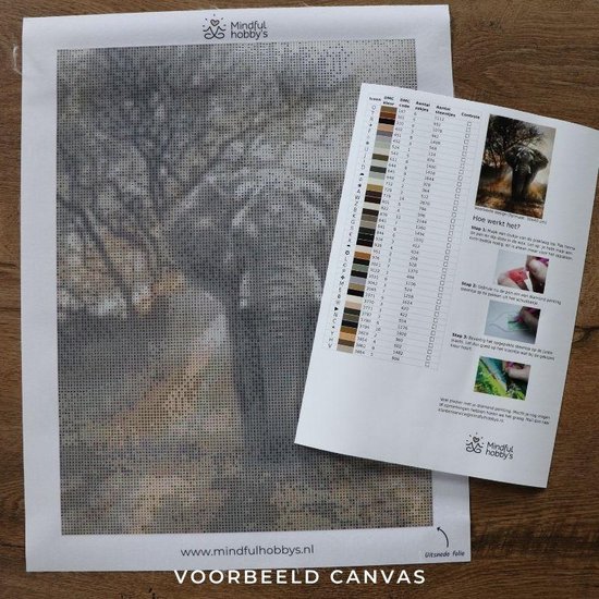 Peinture au Diamond - Deux beaux chevaux - Produit aux Nederland - 40 x 60 cm - matériel de toile - pierres carrées + stylo de luxe gratuit d'une valeur de 12,99