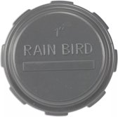 Rain Bird Eindkap PVC binnendraad 10bar grijs