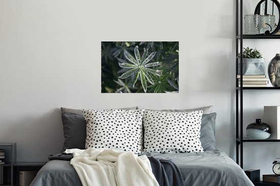 Sticker Muursticker Rosée précoce - Gouttes de rosée précoce sur feuilles - 60x40 cm - film adhésif autocollant - sticker mural repositionnable